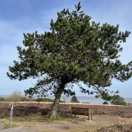 Strandlaeufernest Lejlighed *