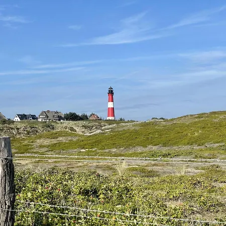 Strandlaeufernest *