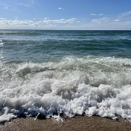 Strandlaeufernest * Sylt