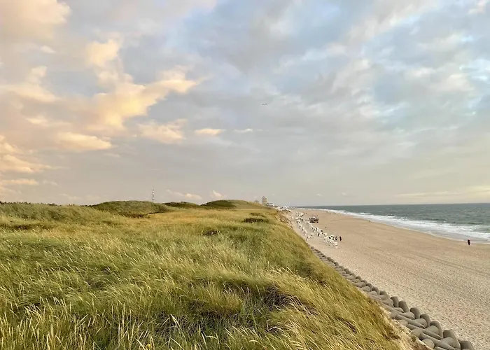Strandlaeufernest Sylt