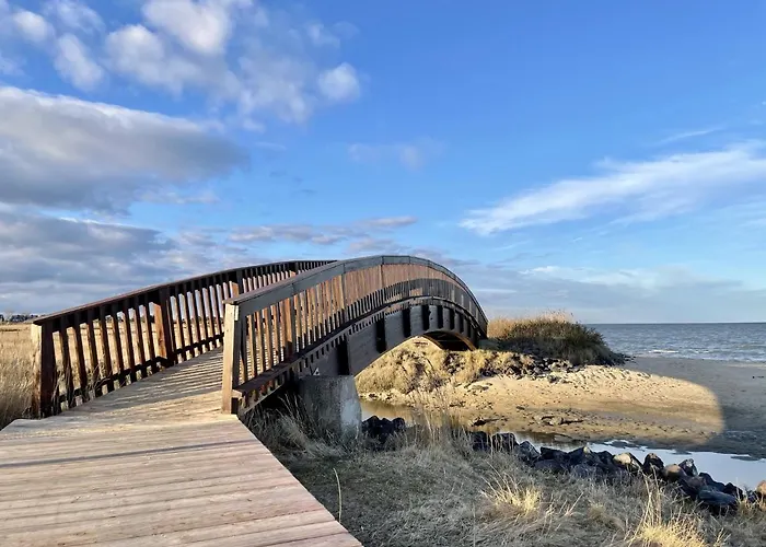 Strandlaeufernest * Sylt
