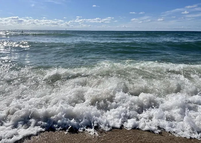 Strandlaeufernest * Sylt